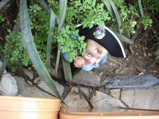 mini-DSC00220