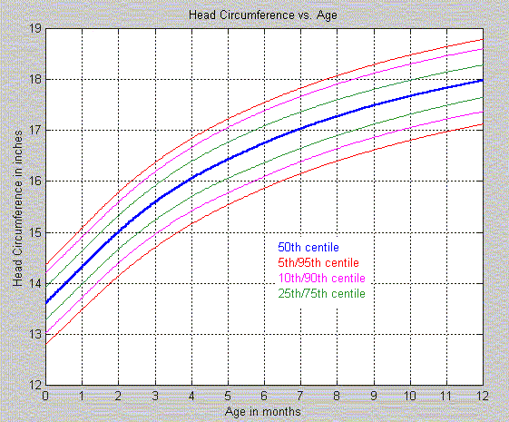 Head Size Chart By Age